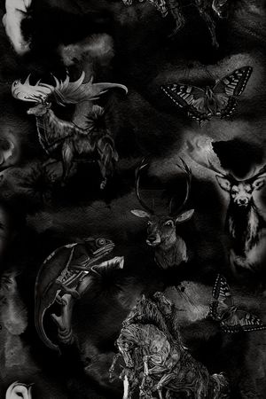 Fei-男装印花华亿平台图片