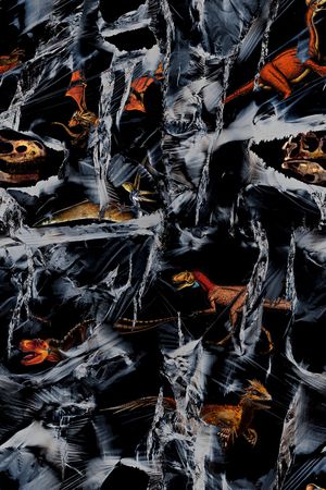 恐龙印花华亿平台图片