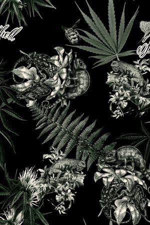 蜥蜴印花华亿平台图片