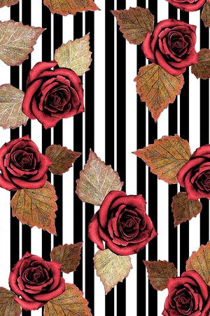 黑白条纹印花华亿平台图片