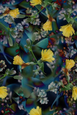 数码华亿平台印花华亿平台图片