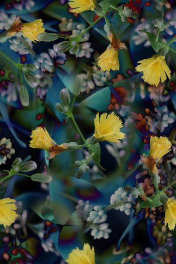 数码华亿平台印花华亿平台图片