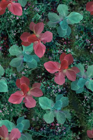 数码华亿平台印花华亿平台图片