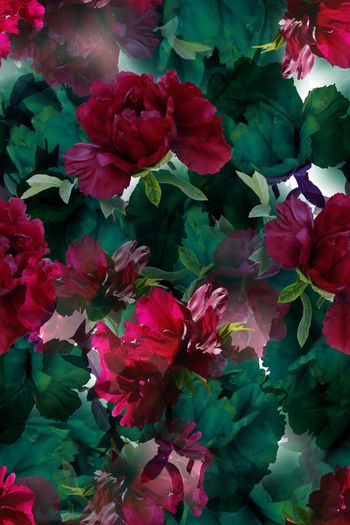 1062436-鲜艳的牡丹花1