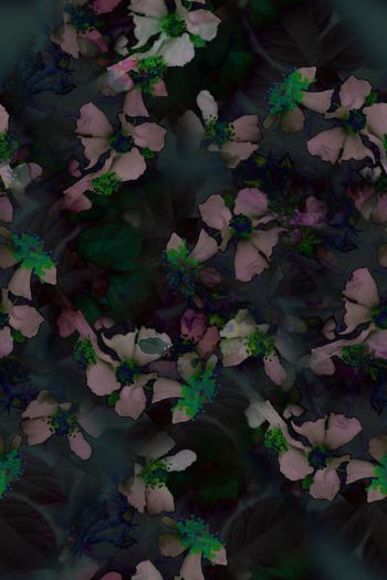 数码华亿平台印花华亿平台图片