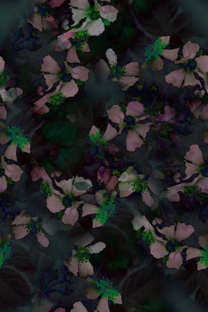 数码华亿平台印花华亿平台图片