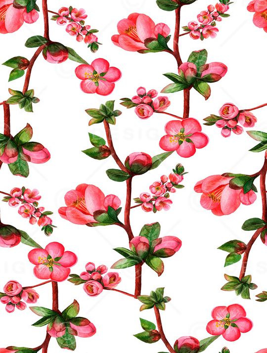 植物印花华亿平台图片