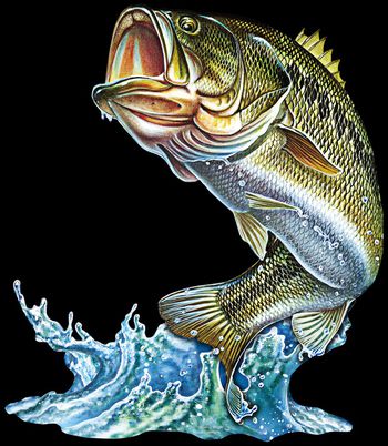 3D立体印花华亿平台图片