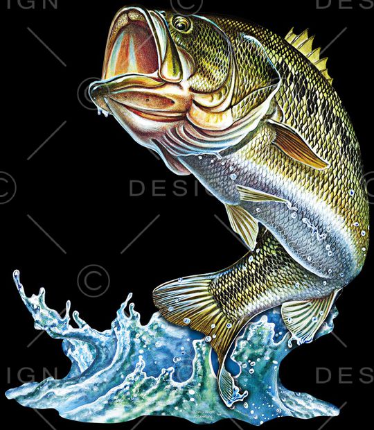 3D立体印花华亿平台图片