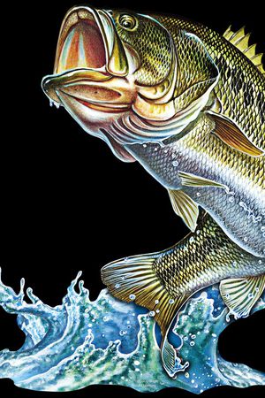 3D立体印花华亿平台图片