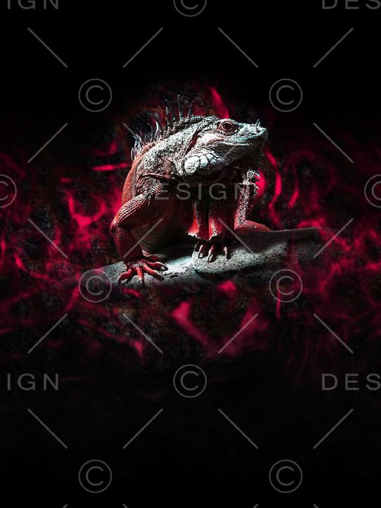 男装印花华亿平台图片