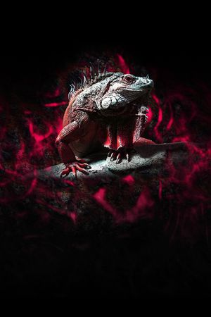 男装印花华亿平台图片