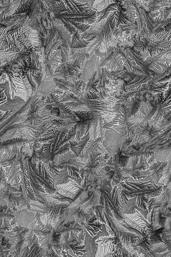 1062875-FLZ18-5-57....