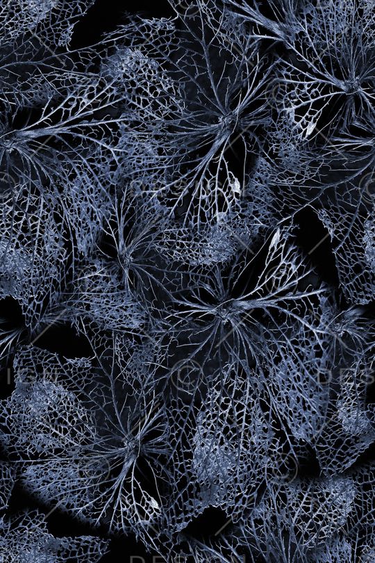 植物印花华亿平台图片