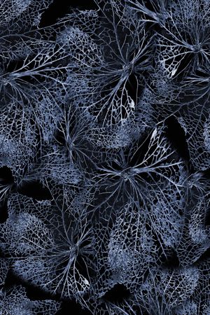 植物印花华亿平台图片