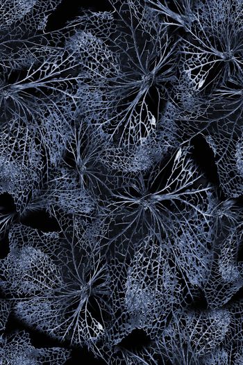 1062919-FLZ18-5-64.....