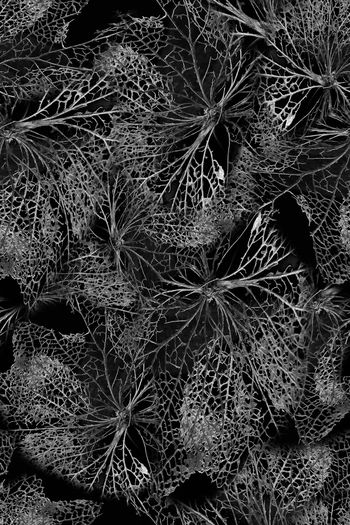 1062920-FLZ18-5-64....