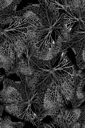 植物印花华亿平台图片