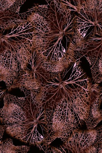 1062921-FLZ18-5-64...