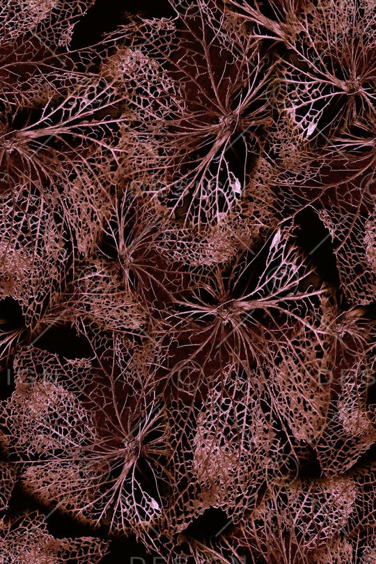 植物印花华亿平台图片