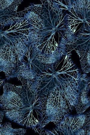 植物印花华亿平台图片