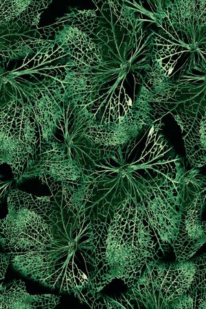 植物印花华亿平台图片