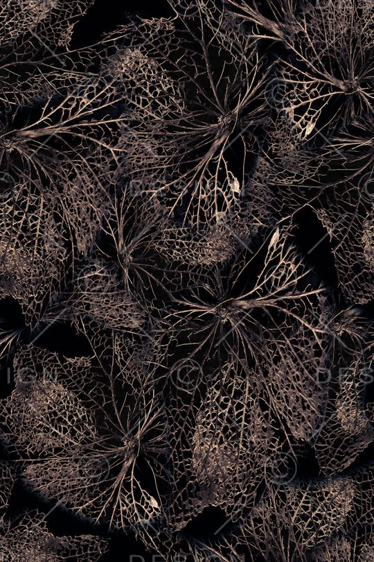 植物印花华亿平台图片