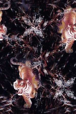 数码华亿平台印花华亿平台图片