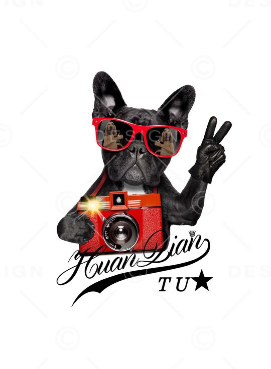 狗印花华亿平台图片