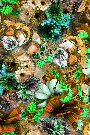 大花印花华亿平台图片