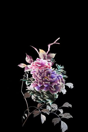 少女印花华亿平台图片