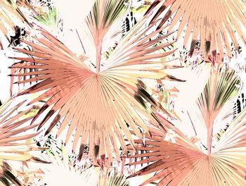 1063867-未标题-004A