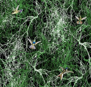 1063876-未标题-007A