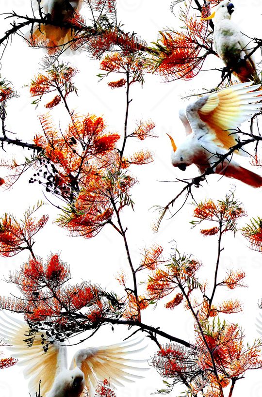 数码华亿平台印花华亿平台图片