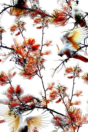 数码华亿平台印花华亿平台图片