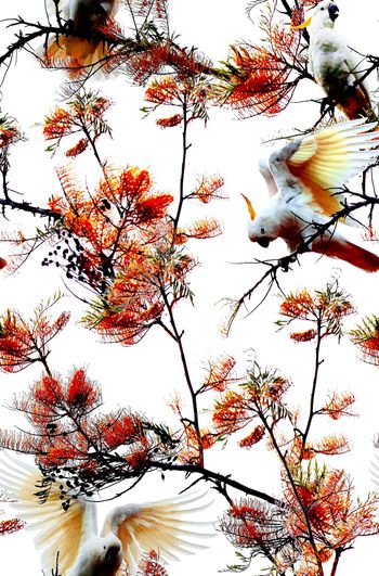 1063884-未标题-023