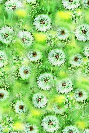 蒲公英印花华亿平台图片