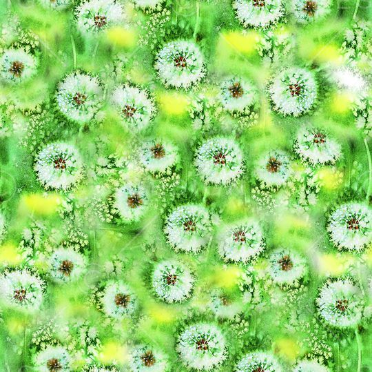 蒲公英印花华亿平台图片