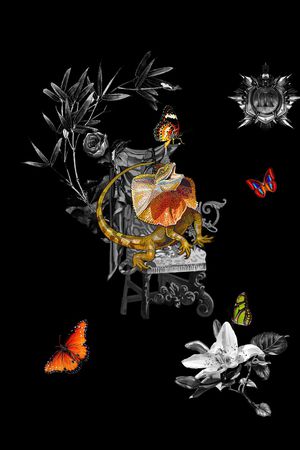 动物花卉印花华亿平台图片