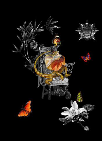 动物花卉印花华亿平台图片