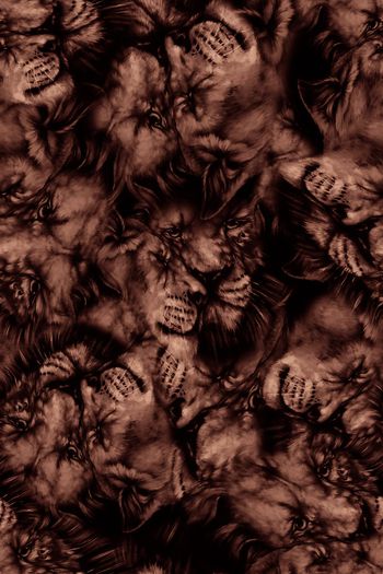 1064205-FLZ18-5-69...