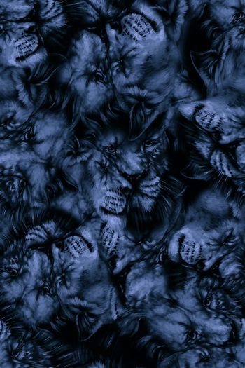 1064206-FLZ18-5-69..