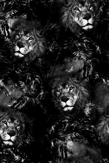 1064219-FLZ18-5-71.....