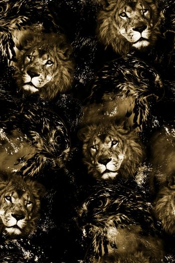 1064220-FLZ18-5-71....