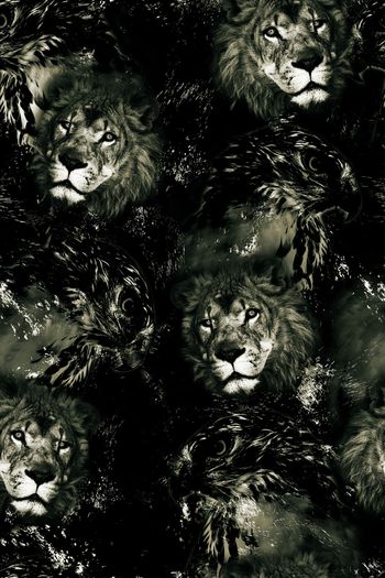 1064222-FLZ18-5-71..