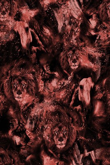 1064237-FLZ18-5-27......