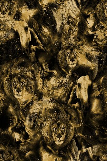 1064239-FLZ18-5-27....