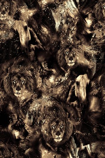 1064240-FLZ18-5-27...