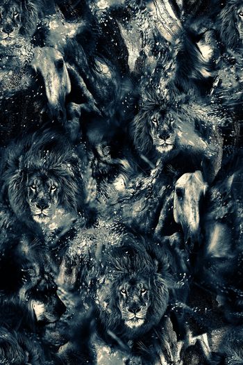 1064241-FLZ18-5-27..