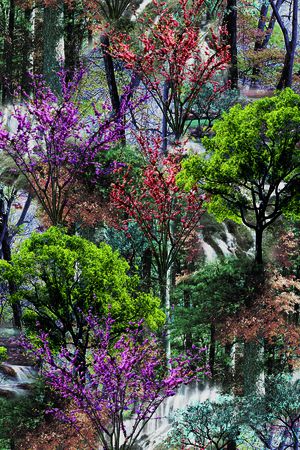 数码华亿平台印花华亿平台图片